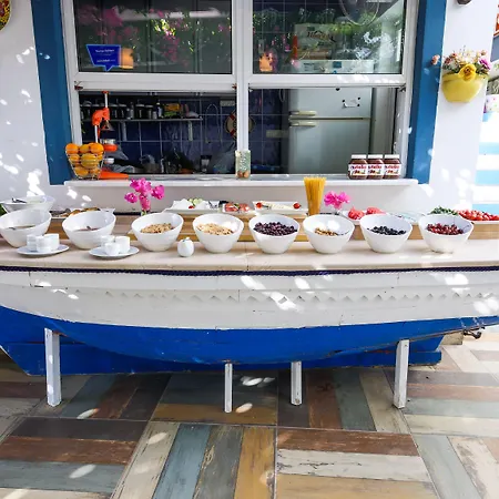Bora דטקה